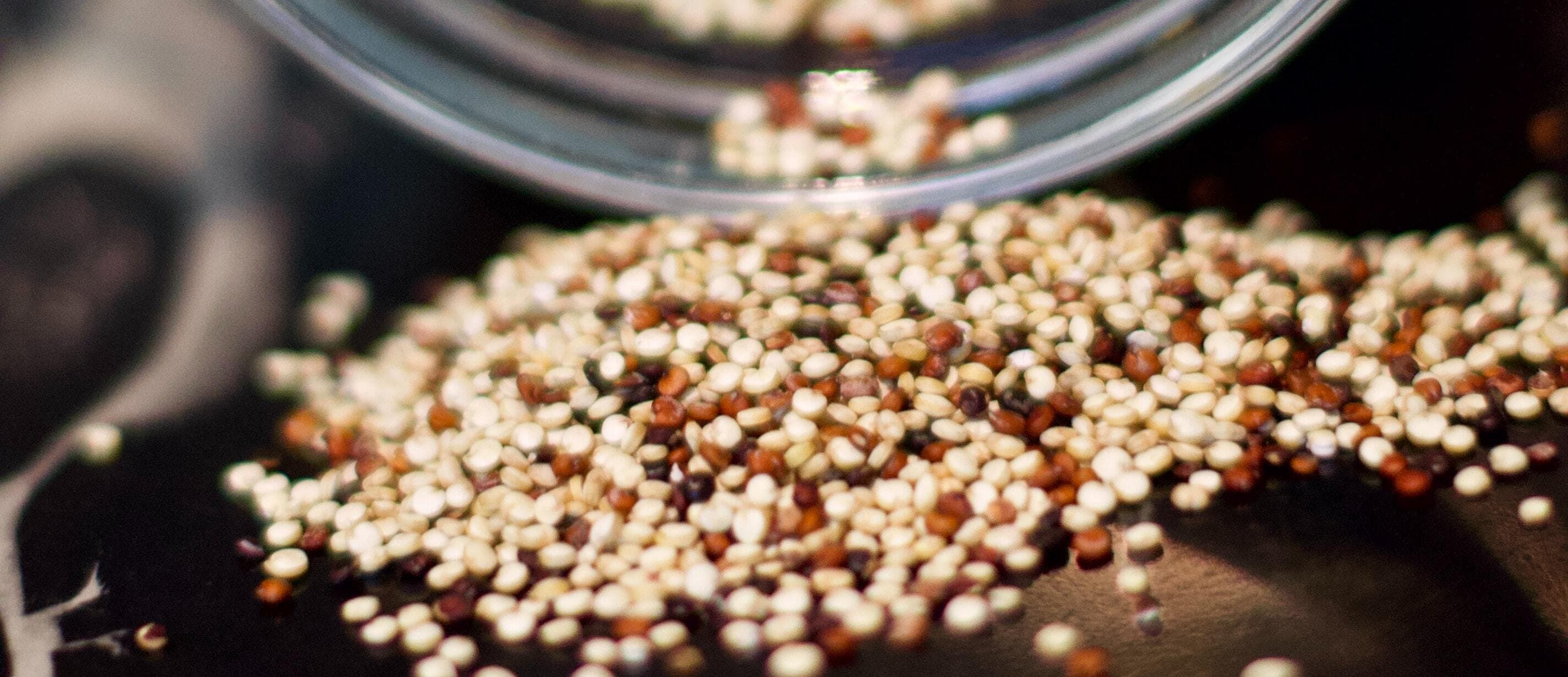 Quinoa