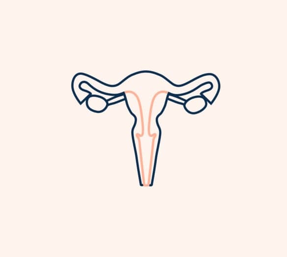 illustration livmoder illustration livmoder