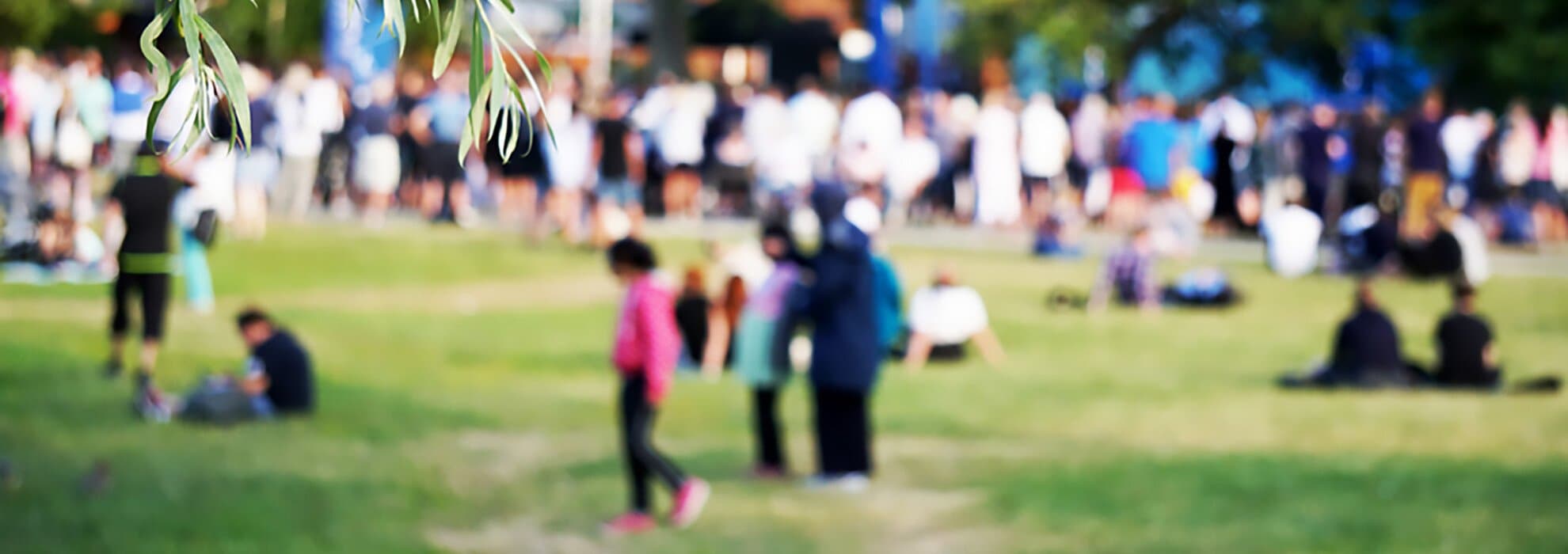 människor på en gräsmatta människor på en gräsmatta