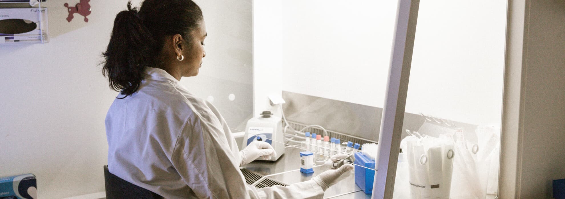 Forskare kollar sitter i labratorium