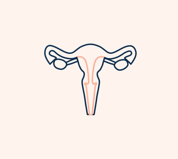 illustration livmoder illustration livmoder