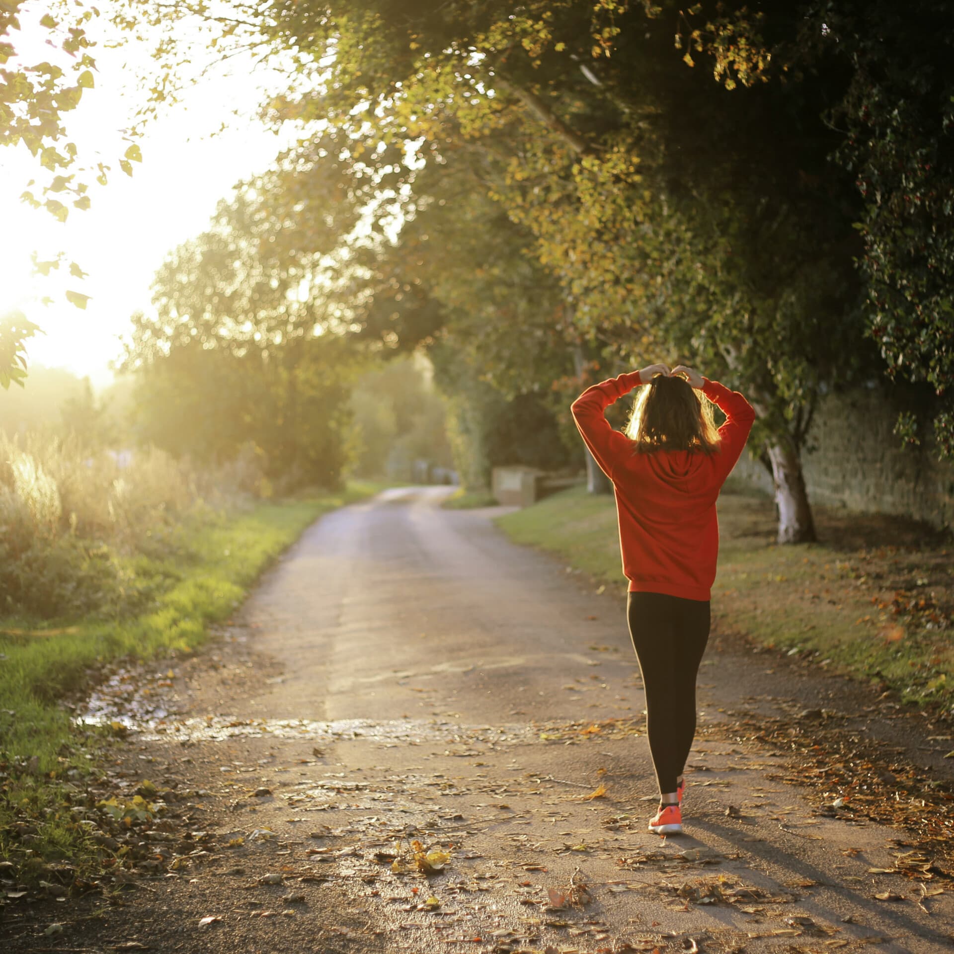 Kvinna promenerar i skogen Kvinna promenerar i skogen